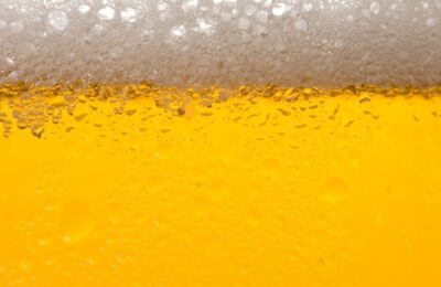 brewery diplomados en canada