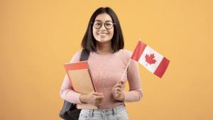ViveCanada | ViveBlog
