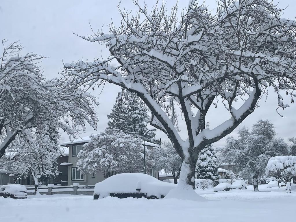 nieve en canada