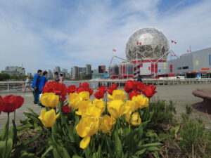 cuanto dinero necesito para ir a canada
