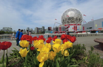 cuanto dinero necesito para ir a canada