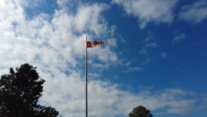 ViveBlog | 12 de June de 2025 | ViveCanada Sorteos Express Entry 2023