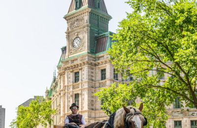 sorteo express entry