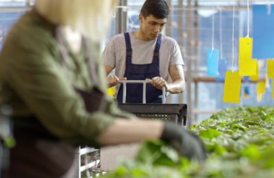 sorteo express entry