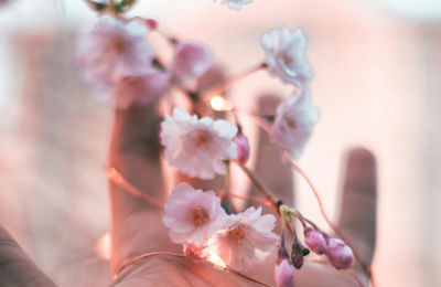 ontario oinp express entry notifications of interest