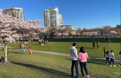 sorteo express entry draw