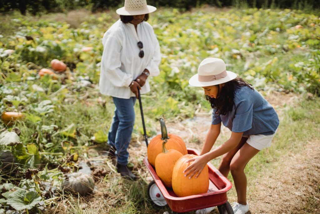 Mamá e hija recogen calabazas en un campo en otoño