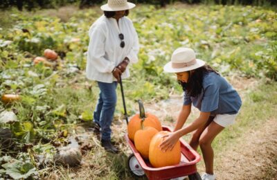 Mamá e hija recogen calabazas en un campo en otoño